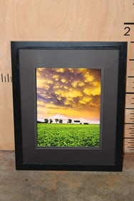 "Majestic Skies" Framed Photograph by David Mayhew Photography with a COA