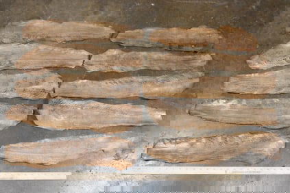 (10) EEL Skins (ONE$)