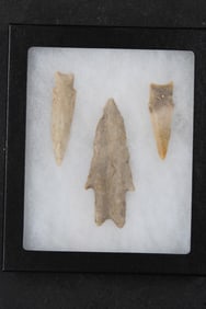 (3) Prehistoric Native American ARROWHEADS (ONE$)
