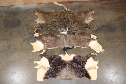 (3) African Animal Back Hides (ONE$)