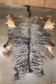 BLUE WILDEBEEST Hide