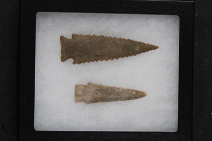 (2) Prehistoric Pine Tree Corner-Notched Projectile Point ARROWHEADS (ONE$)
