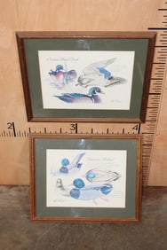 (1) Delaware Mallard Print and (1) Ontario Wood Duck Print both by Bob Berry (ONE$)