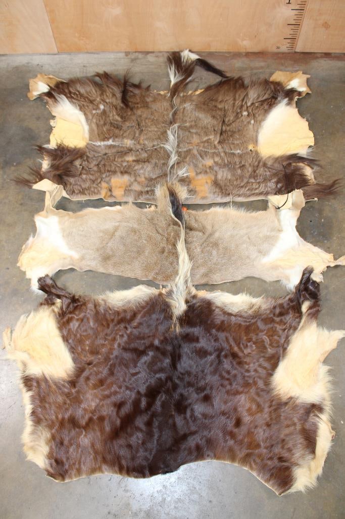 (3) African Animal Back-hides (ONE$) (1 of 5)