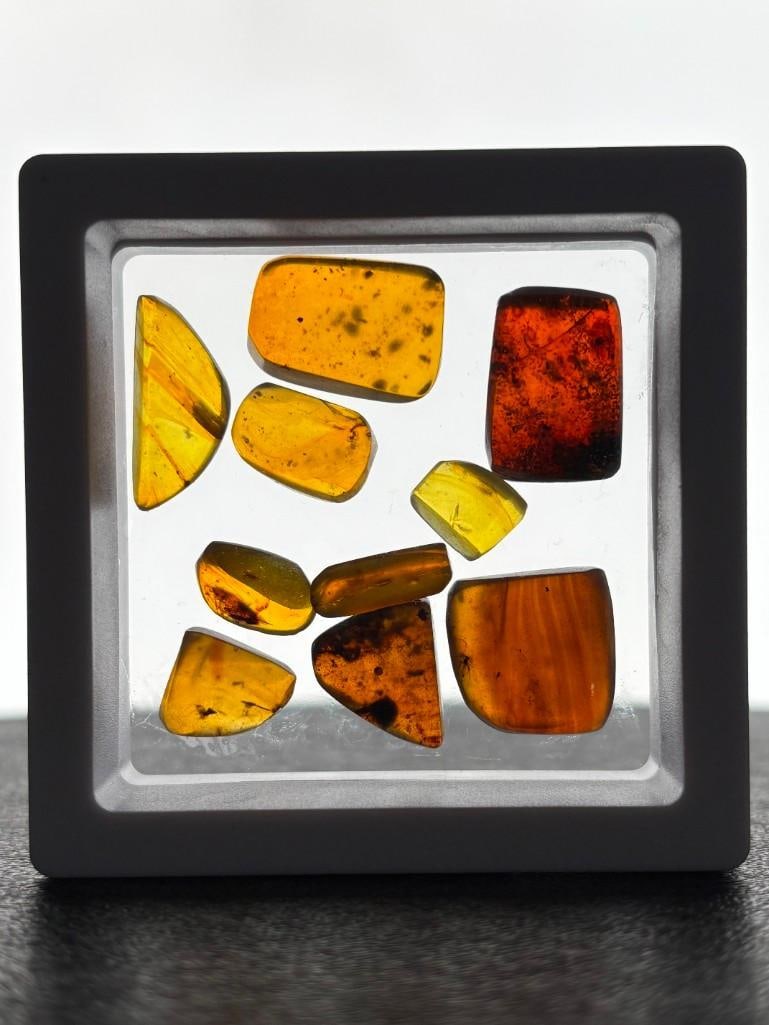 (10) Pieces of Authentic Myanmar Fossil AMBER with Insect and Organic Matter Inclusions (ONE$): 10 Pieces of Authentic Myanmar Fossil AMBER with Insect and Organic Matter Inclusions. They have been UV Tested and are Reactive. The Total Weight is 8.2 grams and they come in the display case as sho