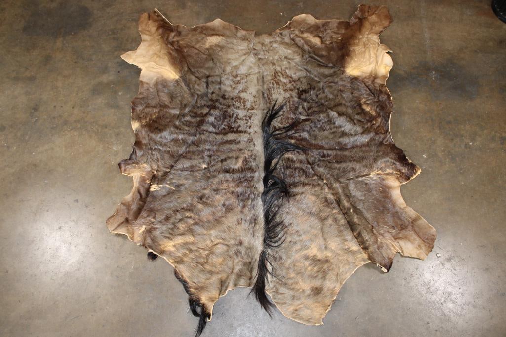 BLUE WILDEBEEST Hide (1 of 4)