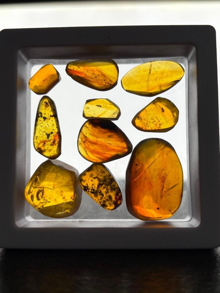 (10) Pieces of Authentic Myanmar AMBER Fossils with Insect Inclusions (ONE$): 10 Pieces of Authentic Myanmar AMBER Fossils with Insect Inclusions, several species and Organic Matter Inclusions. They have been UV Tested and are Reactive. The Total Weight is 9.81 grams and they c