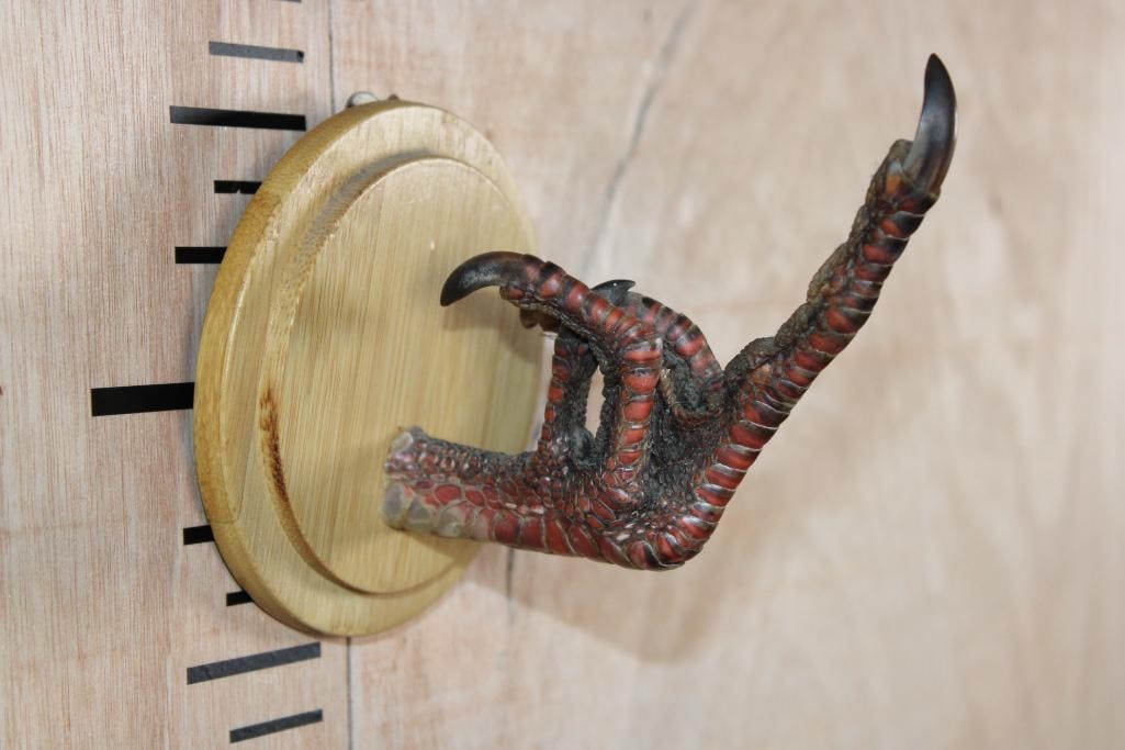 TURKEY Foot "Flipping the Bird" aka Middle Finger on a Wood Plaque (1 of 7)