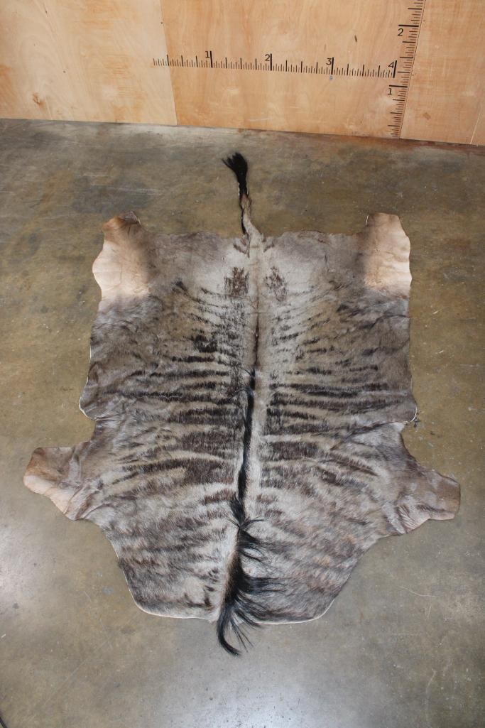 BLUE WILDEBEEST Hide (1 of 3)