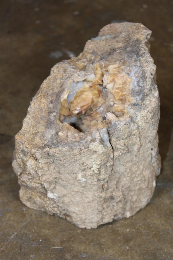 PETRIFIED WOOD with a Crystal Formation Inside: PETRIFIED WOOD Specimen with a Crystal Formation inside. It measures 6.5" Tall x 7.25" Wide x 4.5" Depth and it Weighs 9 lbs 2 oz. ROCKS FOSSILS MINERALS 
