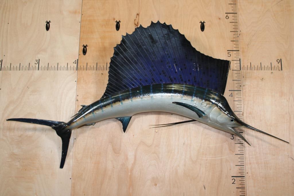 Reproduction SAILFISH Mount (1 of 9)