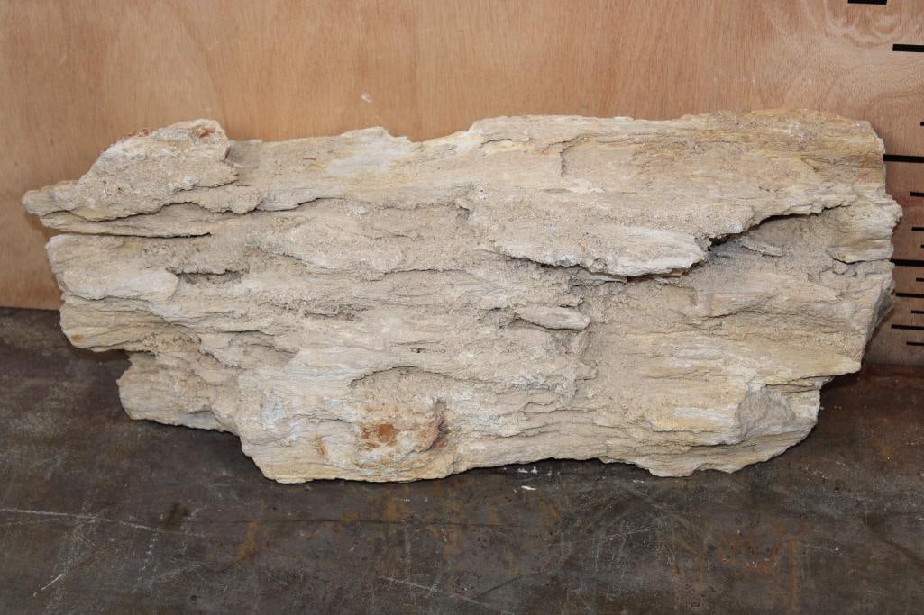 XL PETRIFIED WOOD Log (1 of 7)