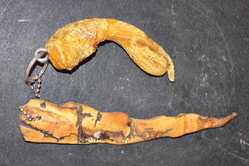 (2) Keychains, ALLIGATOR Penis and ALLIGATOR Skin Strip (ONE$): 2 Keychains, ALLIGATOR Penis and ALLIGATOR Skin Strip. The Alligator Penis measures 5.75" Long and the Alligator Skin is 7.75" Long. (ONE$) TAXIDERMY