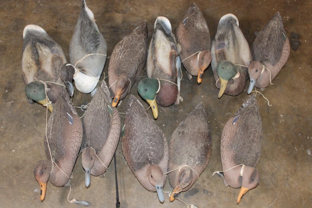 (12) Rubber Hunting DUCK DECOYS (ONE$): 12 Rubber Hunting DUCK DECOYS. (ONE$) HUNTING EQUIPMENT AND DUCK DECOYS 