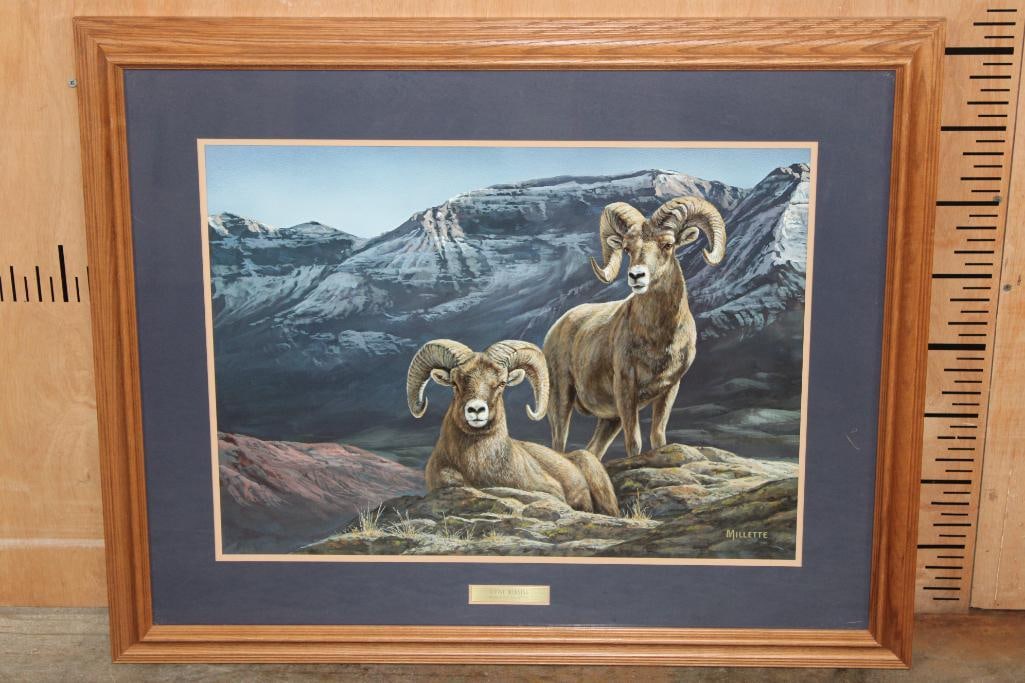 "Alpine Morning" Art Print by Rosemary Millette: "Alpine Morning-Bighorn Sheep" Art Print by Rosemary Millette. It is displayed in a nice Wood and Glass Frame with a Plaque that reads "Alpine Morning Rosemary Millette". It measures 32" Wide x 26"