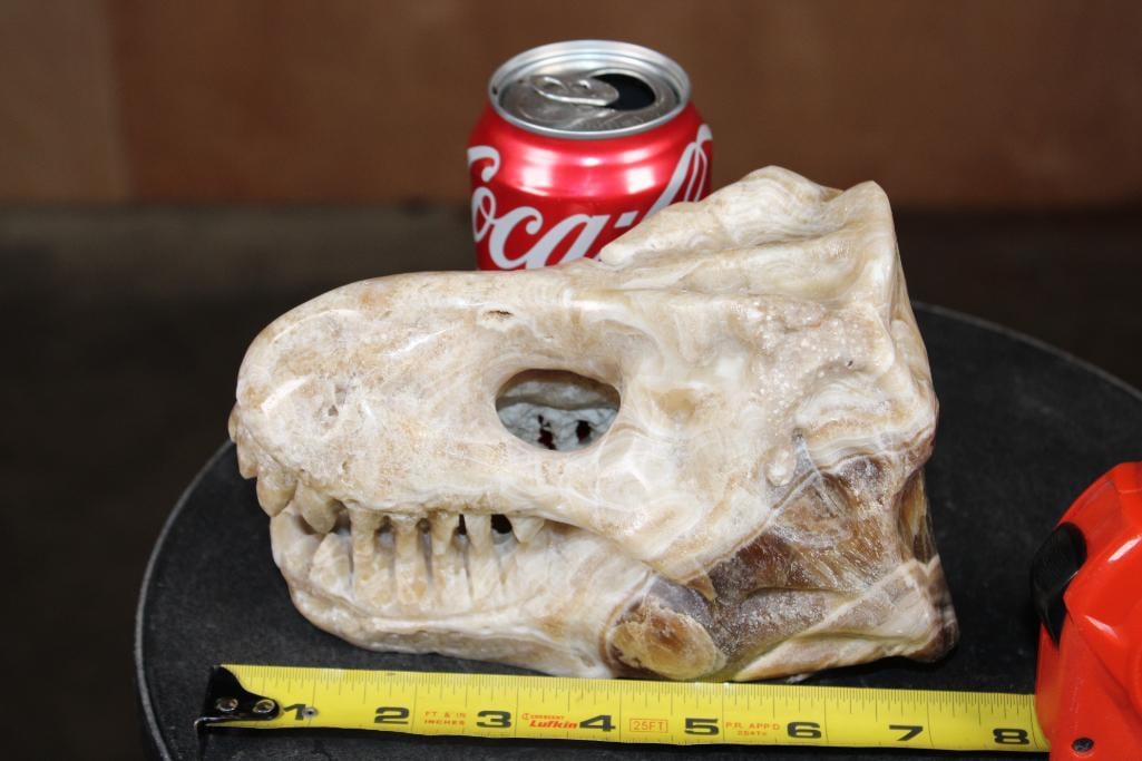 Big Hand-carved AGATE Tyrannosaurus Rex Skull - 2