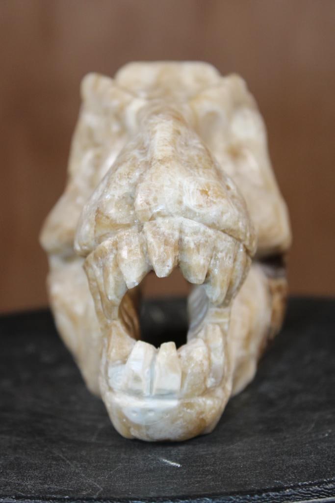 Big Hand-carved AGATE Tyrannosaurus Rex Skull - 5