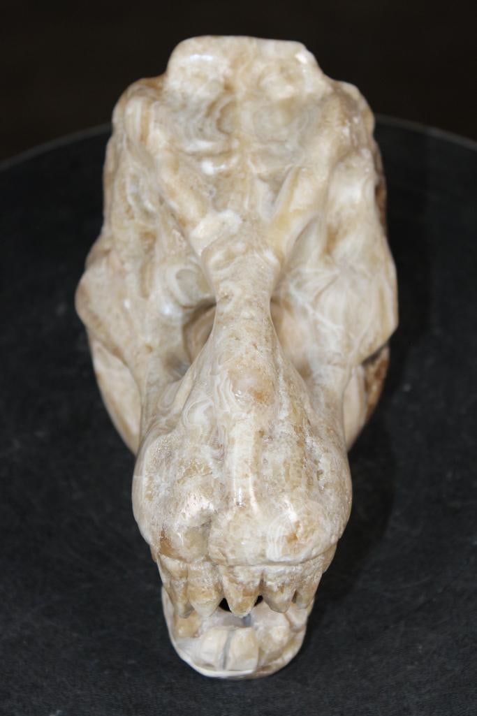 Big Hand-carved AGATE Tyrannosaurus Rex Skull - 6