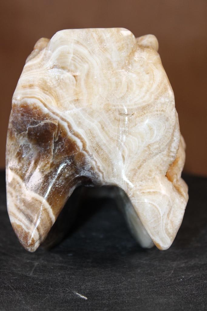 Big Hand-carved AGATE Tyrannosaurus Rex Skull - 7