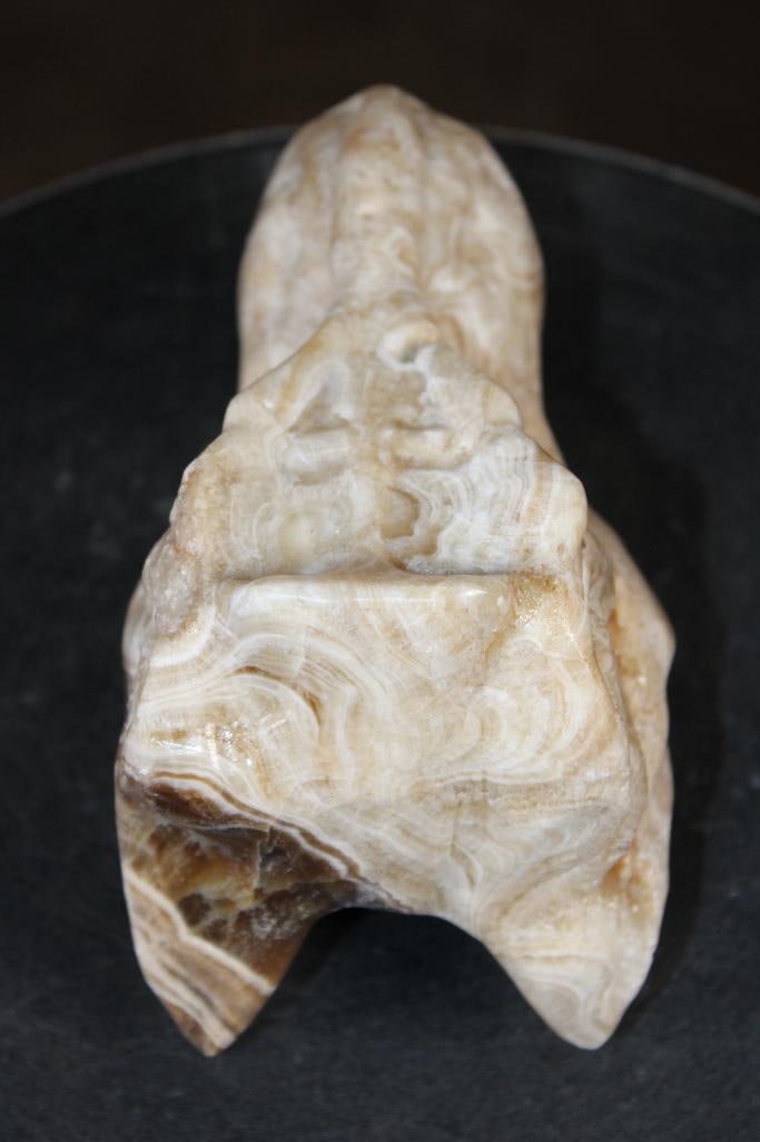 Big Hand-carved AGATE Tyrannosaurus Rex Skull - 8