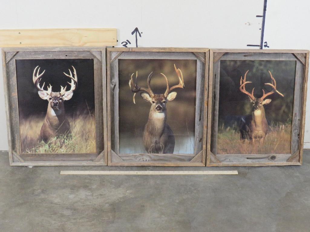 (3) Big Whitetail Buck Photos in Rustic Wood Frames: 3 Big Whitetail Buck Photos in 24.5" Tall x 20.5" Wide Rustic Wood Frames. COLLECTIBLE WILDLIFE ART 