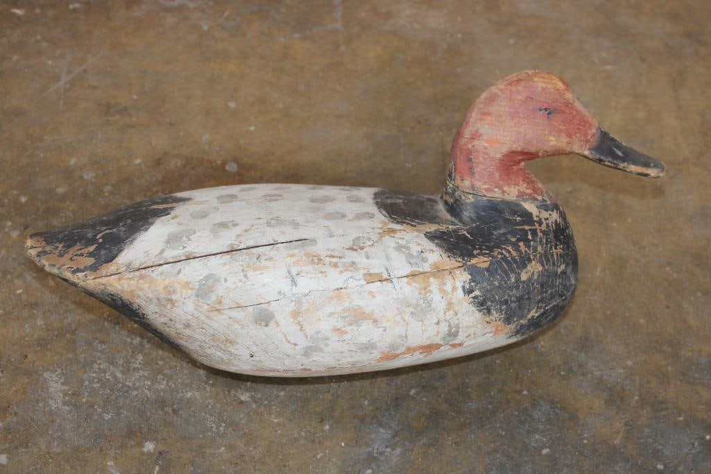 Antique Hand-carved and Painted Wooden CANVASBACK DRAKE Duck Hunting DECOY - 3