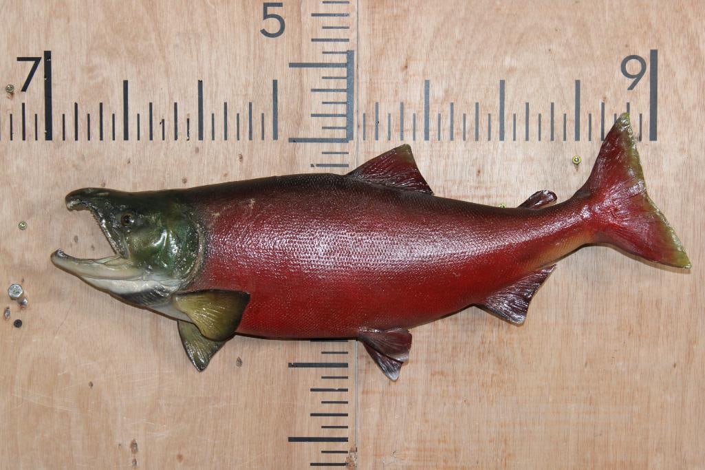 *Real Skin* SOCKEYE SALMON Fish Mount (1 of 4)