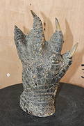 Big Mounted CROCODILE Foot with its Claws: Big Mounted CROCODILE Foot with its Claws. It measures 9.25" Tall x 5.75" Wide and Weighs 3 lbs 7 oz. The inside is filled with plaster. TAXIDERMY