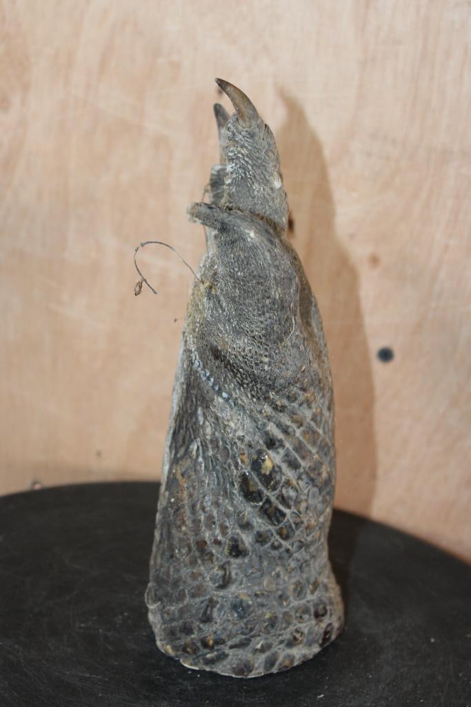 Big Mounted CROCODILE Foot with its Claws - 4