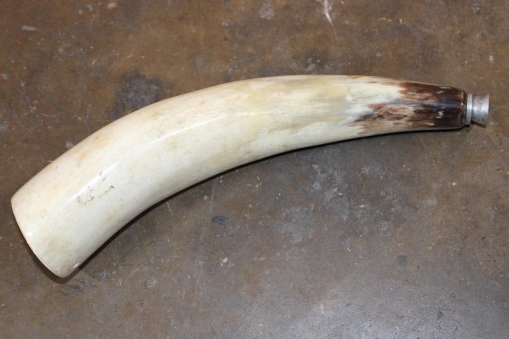 Polished STEER Horn "Blow Horn" with a Metal Mouthpiece (1 of 5)