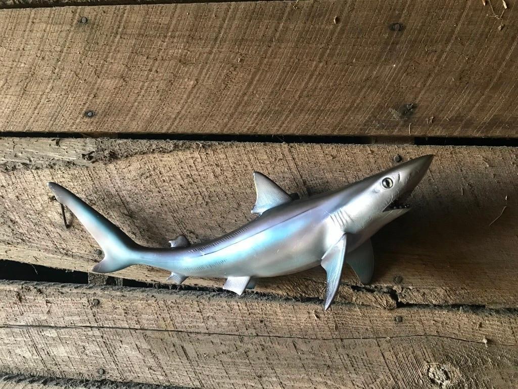 *New in Box* Reproduction SAND SHARK Fish Mount: *New* Reproduction SAND SHARK Fish Mount. It measures approximately 18" Long. This is an excellent shark mount in Brand New Condition. NAUTICAL DECOR AND TAXIDERMY FISH 