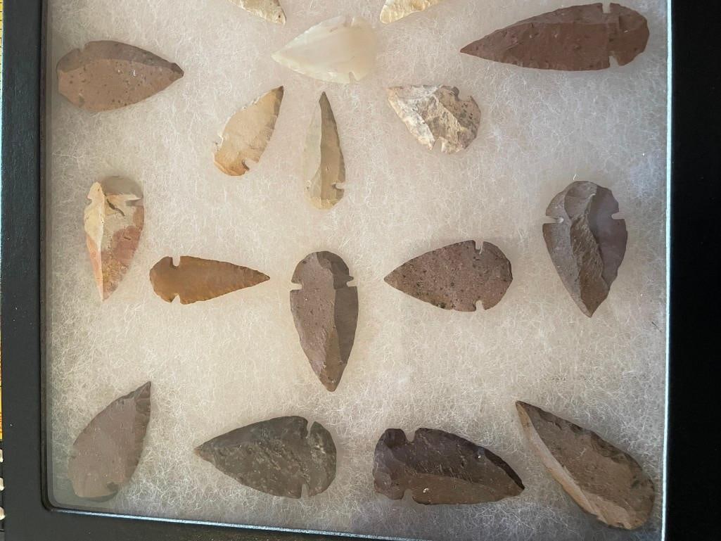 (28) Side Notched ARROWHEAD Points in a Glass Display Case - 2