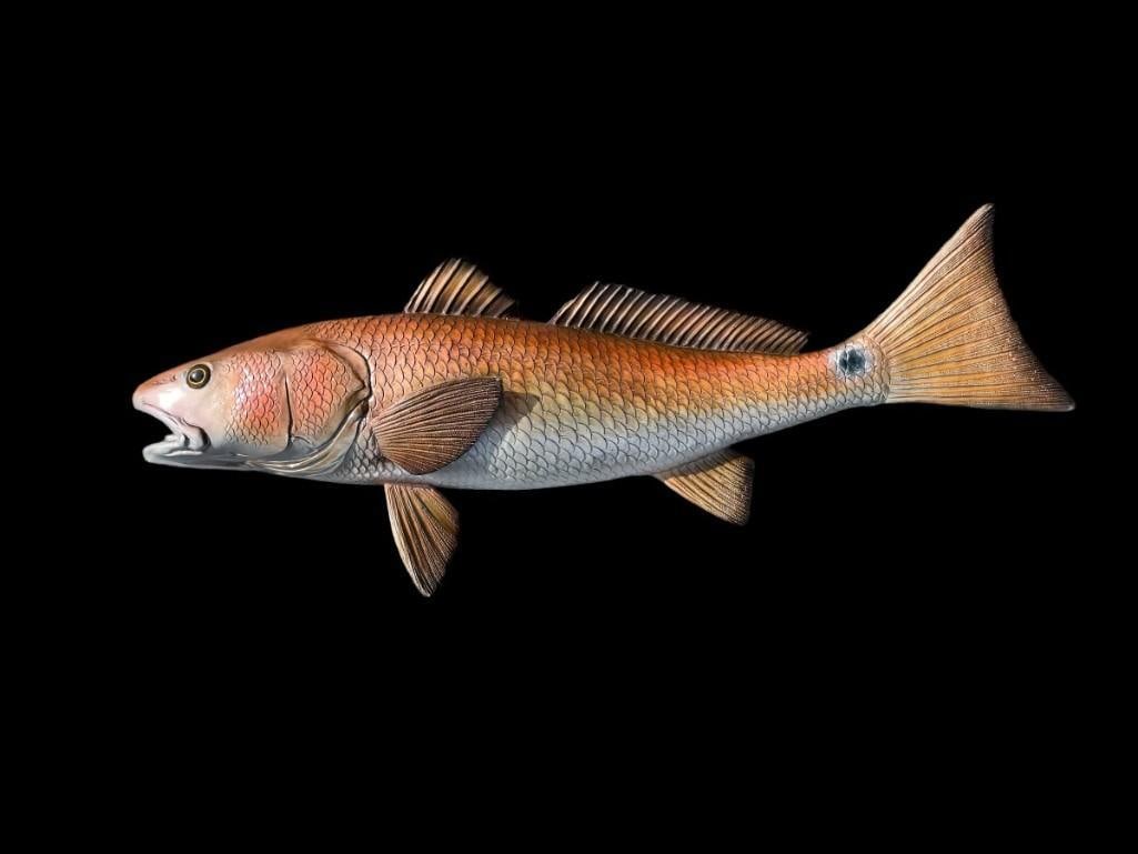 *New* Reproduction RED FISH Mount: *New* Reproduction RED FISH Mount. It measures 23" Long and is New in the Box. There is a hook for easy mounting. NAUTICAL DECOR AND FISH TAXIDERMY 