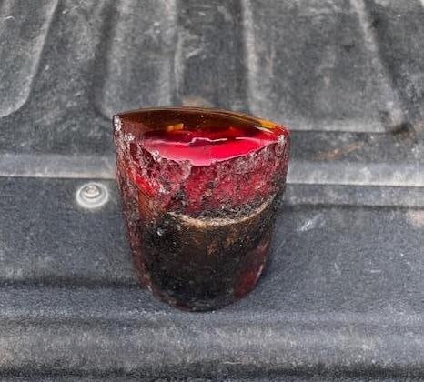 *Real* SCORPION Specimen Encased in Simulated AMBER - 3