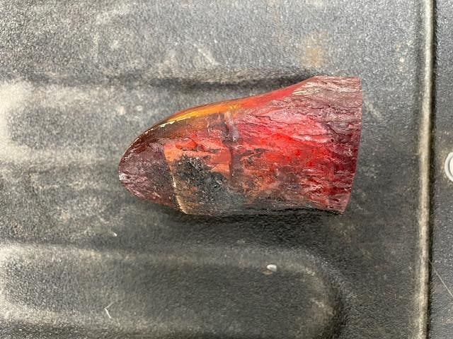 *Real* SCORPION Specimen Encased in Simulated AMBER - 5