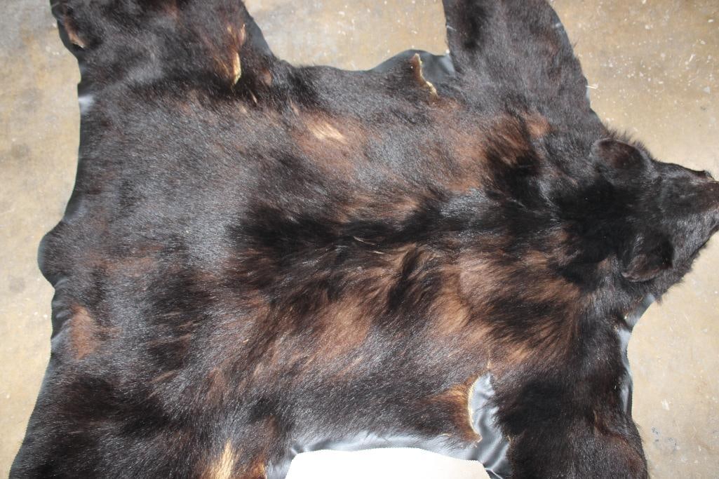 BLACK BEAR RUG with its Mounted Head and Vinyl Backing - 10