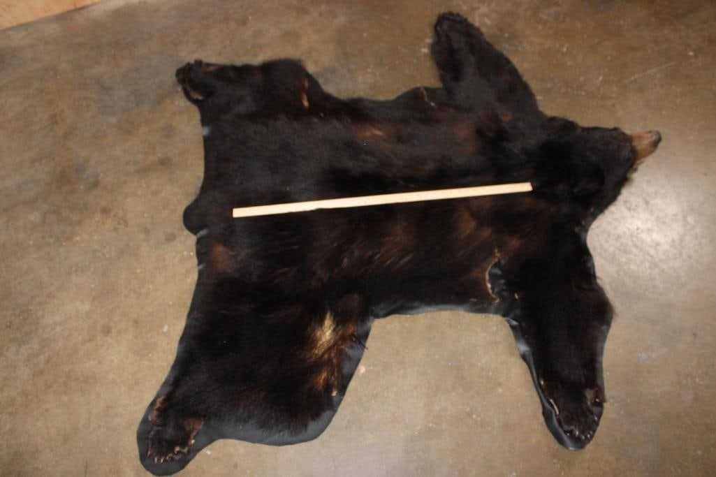 BLACK BEAR RUG with its Mounted Head and Vinyl Backing - 5