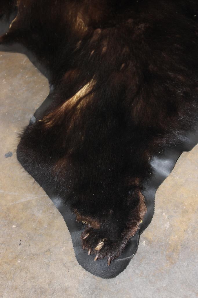 BLACK BEAR RUG with its Mounted Head and Vinyl Backing - 8