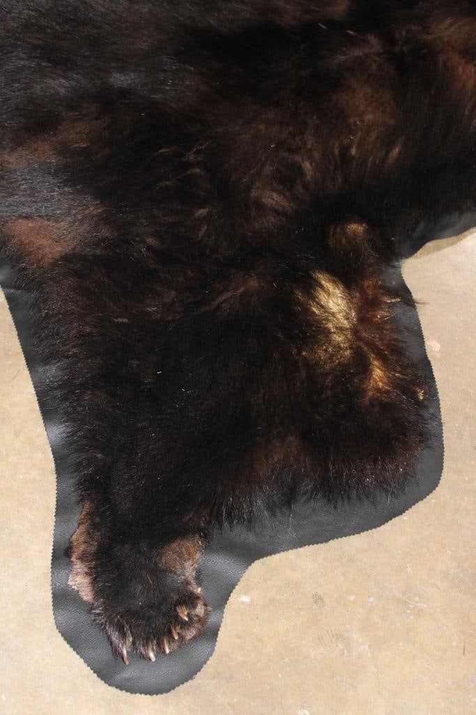 BLACK BEAR RUG with its Mounted Head and Vinyl Backing - 9