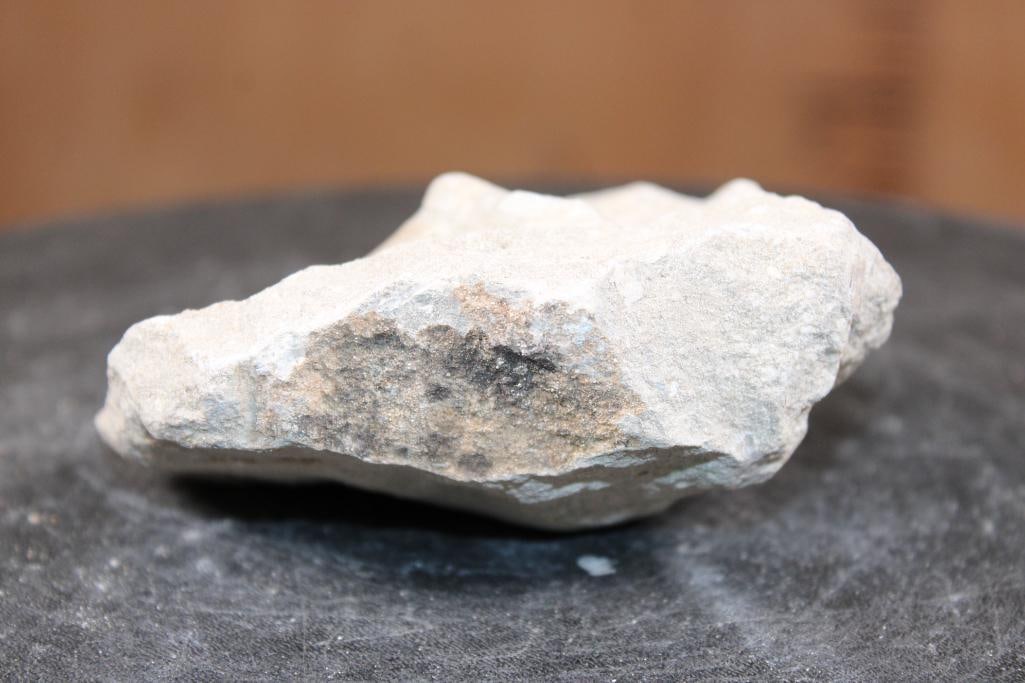 Prehistoric OTODUS SHARK Tooth Fossil in a Rock Matrix - 3