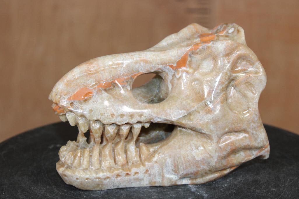 Hand-carved and Polished CRAZY LACE AGATE Tyrannosaurus Rex Skull: Hand-carved and Polished CRAZY LACE AGATE Mineral Tyrannosaurus Rex Skull. It measures 7" Long x 3.75" Wide x 5" Tall and Weighs 4 lbs. ROCKS FOSSILS MINERALS 