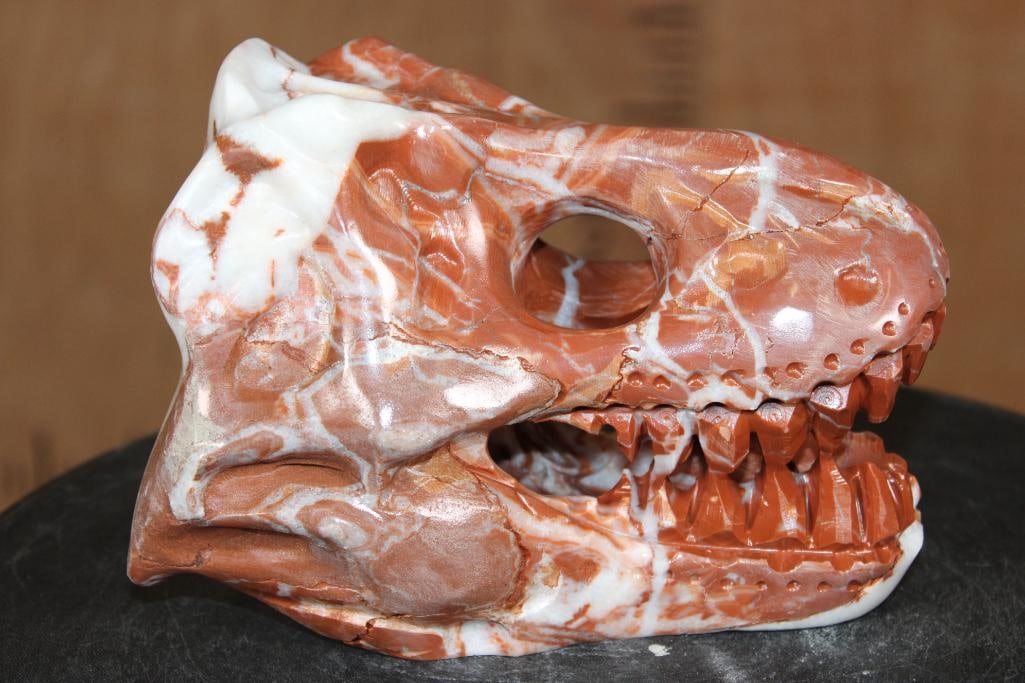 Hand-carved and Polished CRAZY LACE AGATE Tyrannosaurus Rex Skull: Hand-carved and Polished CRAZY LACE AGATE Mineral Tyrannosaurus Rex Skull. It measures 7" Long x 4" Wide x 5.25" Tall and Weighs 4.6 lbs. ROCKS FOSSILS MINERALS 