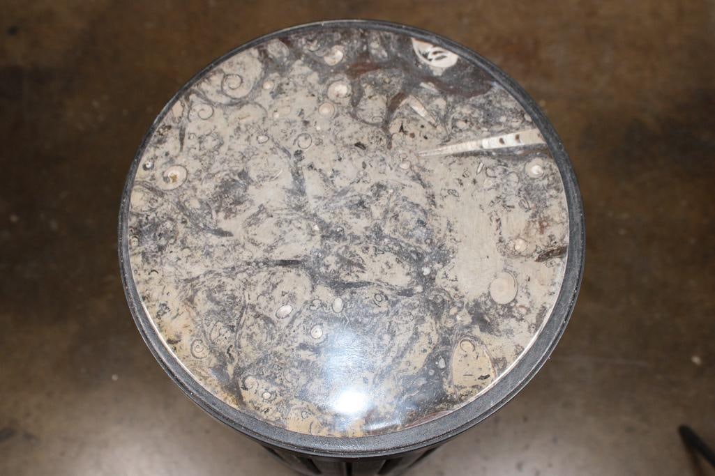 XL Polished ORTHOCERAS and AMMONITE Fossil Matrix Plate - 4