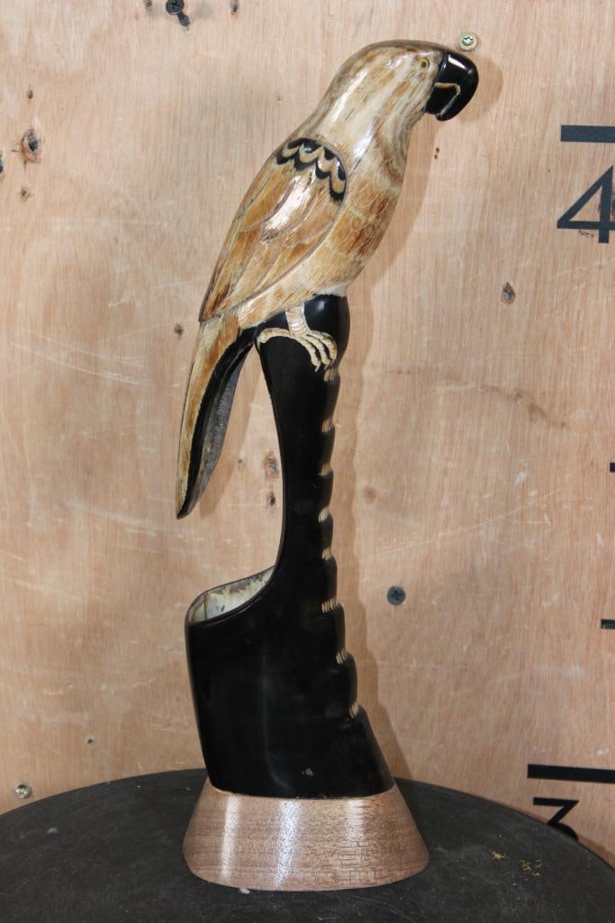 Hand-carved PARROT on a WATER BUFFALO Horn (1 of 7)