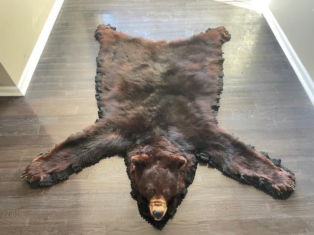 Double-felted BLACK BEAR Rug with its Mounted Head (1 of 9)
