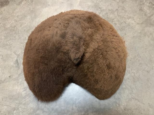 *New* BUFFALO Butt or BISON Butt Mount: *New* BUFFALO Butt or BISON Butt Mount with a short tail. It looks like a Grizzly Bear Butt! The mount measures 22" Wide x 20" Tall x 10" Depth (from the wall). This is an incredible oddity and
