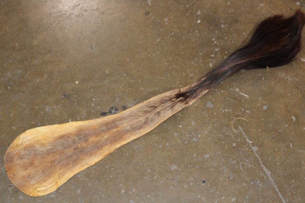 CAPE BUFFALO Tail: CAPE BUFFALO Tail in Good Condition. It measures 34" Long x 7" Wide. TAXIDERMY TAILS 
