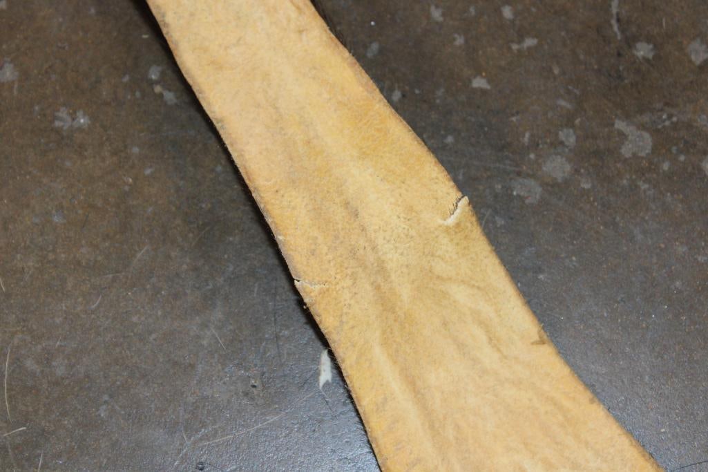 CAPE BUFFALO Tail - 4