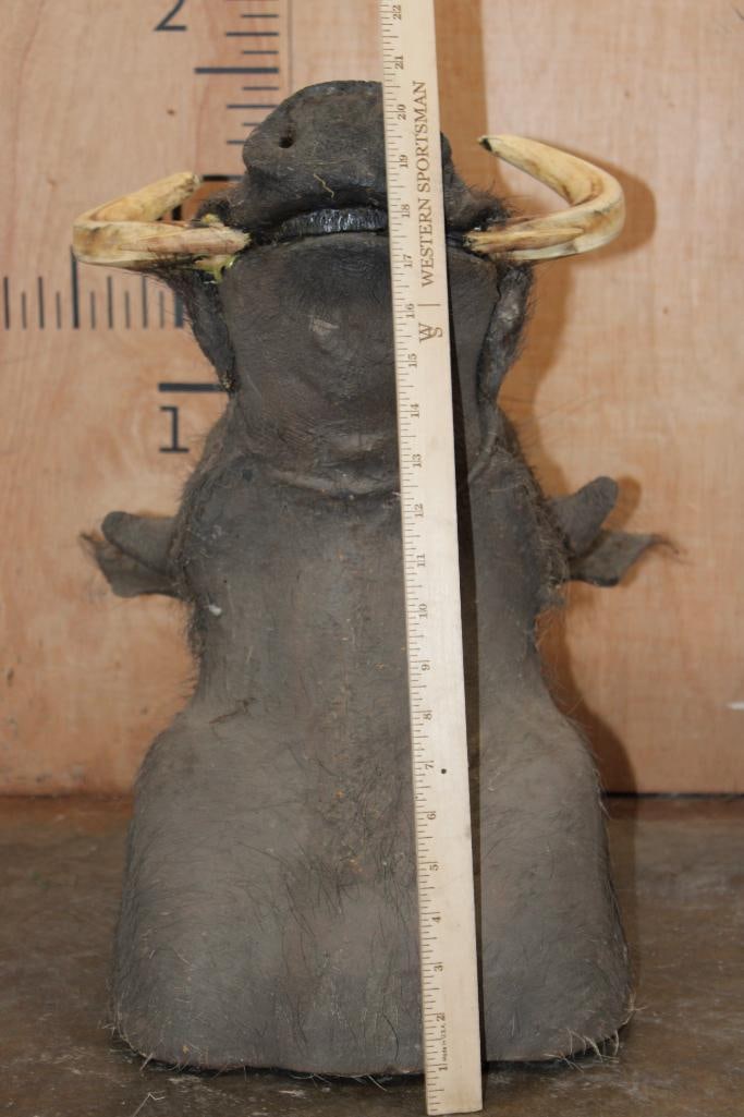 WARTHOG Shoulder Mount - 6