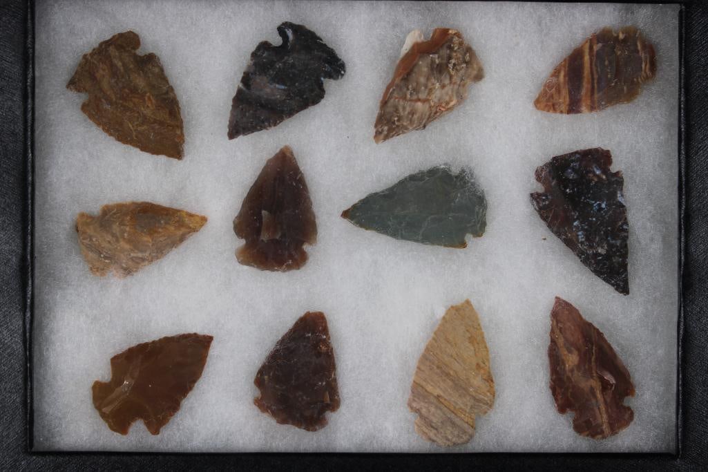 (12) Native American ARROWHEADS or Projectile Points in a Display Case (1 of 6)